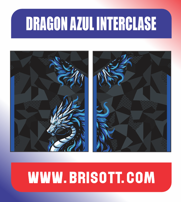 Recuadro DRAGON AZUL INTERCLASE